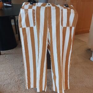 BDG Tan and White Striped Pants
